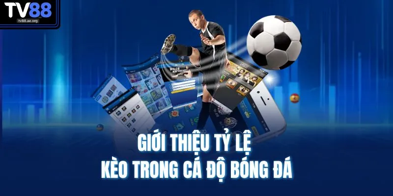 Giới thiệu tỷ lệ kèo trong cá độ bóng đá