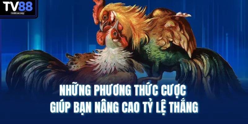 Những phương thức cược giúp bạn nâng cao tỷ lệ thắng