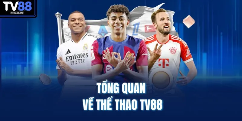 Thể Thao TV88 1 Tổng quan về thể thao TV88